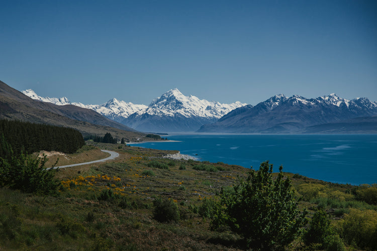 New Zealand Collection